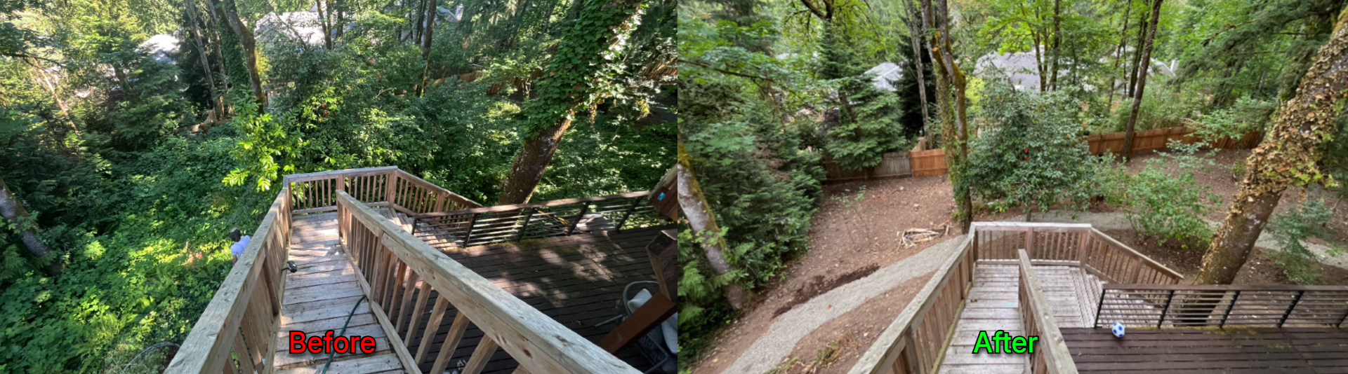 Luxury Lawns Before & After