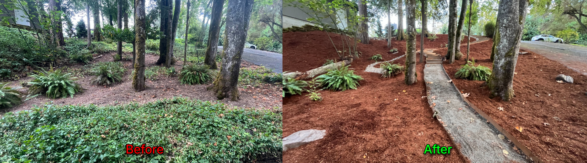 Luxury Lawns Before & After